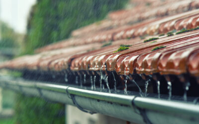 SI EN NUESTRO PAÍS LLUEVE ABUNDANTEMENTE ¿QUE PODEMOS HACER CON EL AGUA LLUVIA?